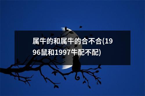 属牛的和属牛的合不合(1996鼠和1997牛配不配)