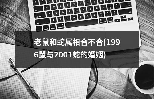 老鼠和蛇属相合不合(1996鼠与2001蛇的婚姻)