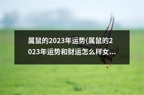 属鼠的2023年运势(属鼠的2023年运势和财运怎么样女)