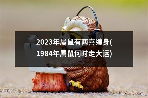 2023年属鼠有两喜缠身(1984年属鼠何时走大运)