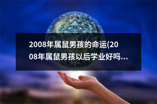 2008年属鼠男孩的命运(2008年属鼠男孩以后学业好吗)