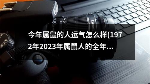 今年属鼠的人运气怎么样(1972年2023年属鼠人的全年运势)