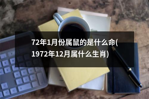 72年1月份属鼠的是什么命(1972年12月属什么生肖)