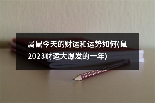 属鼠今天的财运和运势如何(鼠2023财运大爆发的一年)