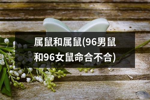 属鼠和属鼠(96男鼠和96女鼠命合不合)