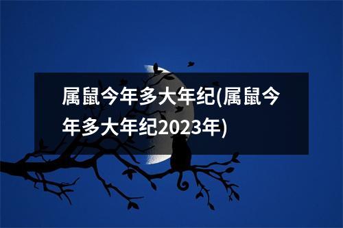 属鼠今年多大年纪(属鼠今年多大年纪2023年)