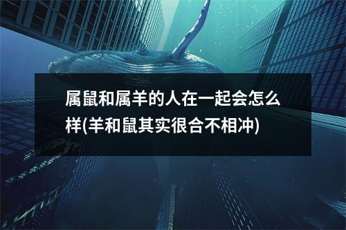 属鼠和属羊的人在一起会怎么样(羊和鼠其实很合不相冲)