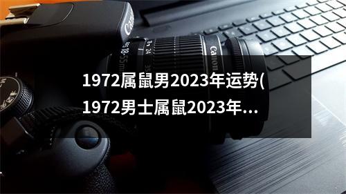 1972属鼠男2023年运势(1972男士属鼠2023年整体财运)