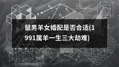 鼠男羊女婚配是否合适(1991属羊一生三大劫难)