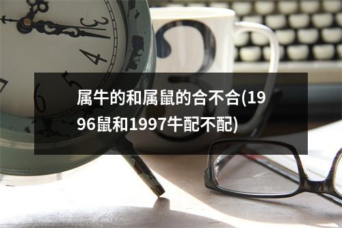 属牛的和属鼠的合不合(1996鼠和1997牛配不配)