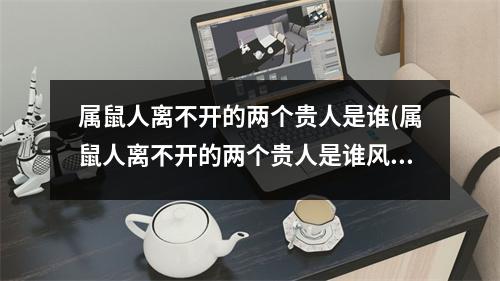 属鼠人离不开的两个贵人是谁(属鼠人离不开的两个贵人是谁风吹草动百花红)