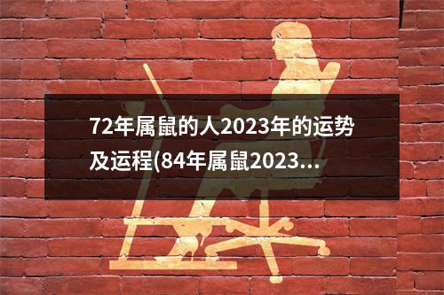 72年属鼠的人2023年的运势及运程(84年属鼠2023年运势及运程详解)