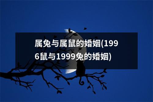 属兔与属鼠的婚姻(1996鼠与1999兔的婚姻)