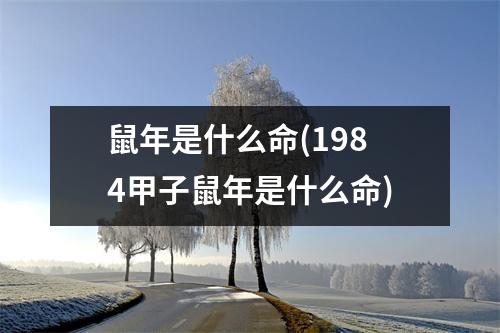 鼠年是什么命(1984甲子鼠年是什么命)