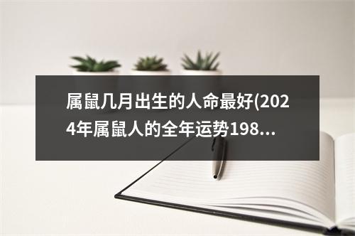 属鼠几月出生的人命好(2024年属鼠人的全年运势1984出生)