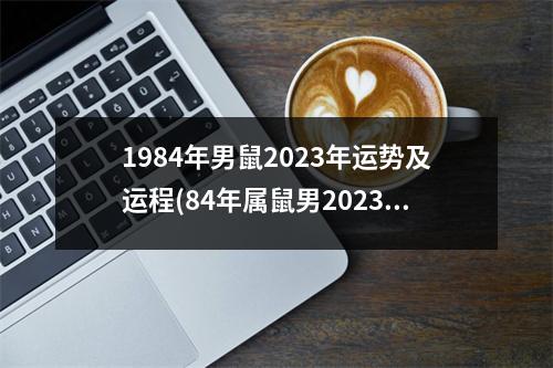 1984年男鼠2023年运势及运程(84年属鼠男2023年感情与婚姻)