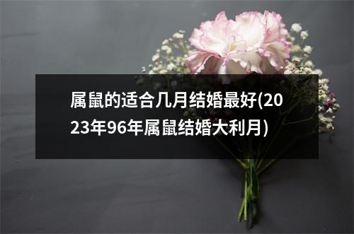 属鼠的适合几月结婚好(2023年96年属鼠结婚大利月)