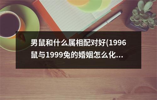 男鼠和什么属相配对好(1996鼠与1999兔的婚姻怎么化解)