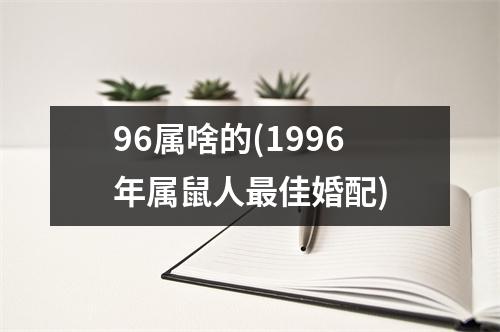 96属啥的(1996年属鼠人佳婚配)