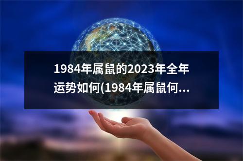 1984年属鼠的2023年全年运势如何(1984年属鼠何时走大运)