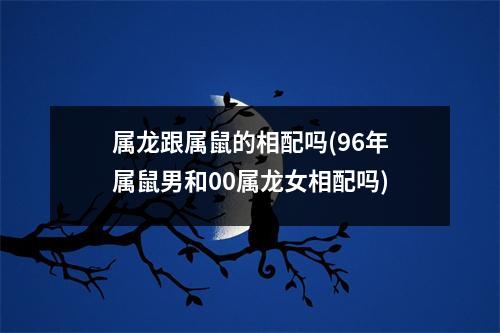 属龙跟属鼠的相配吗(96年属鼠男和00属龙女相配吗)