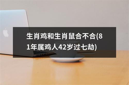 生肖鸡和生肖鼠合不合(81年属鸡人42岁过七劫)