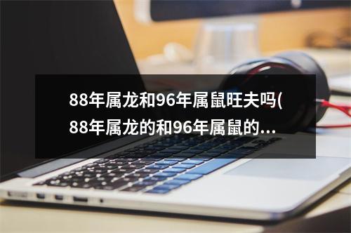 88年属龙和96年属鼠旺夫吗(88年属龙的和96年属鼠的婚姻配吗)