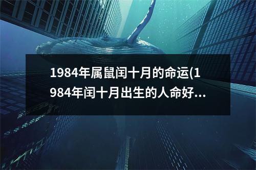 1984年属鼠闰十月的命运(1984年闰十月出生的人命好不好)