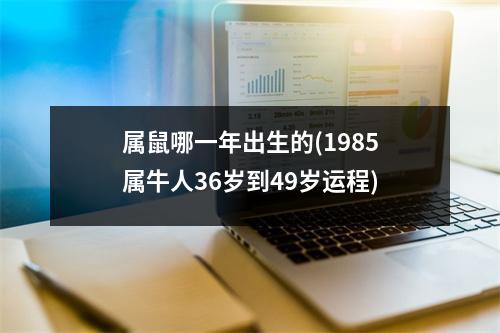 属鼠哪一年出生的(1985属牛人36岁到49岁运程)