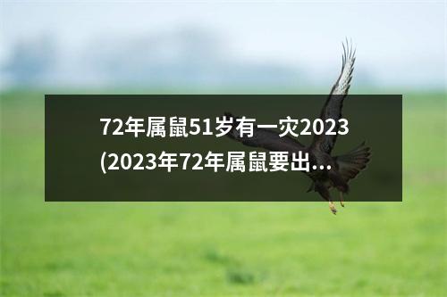 72年属鼠51岁有一灾2023(2023年72年属鼠要出大事)