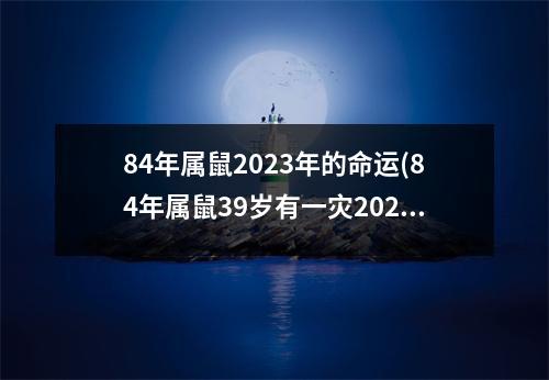 84年属鼠2023年的命运(84年属鼠39岁有一灾2023年)