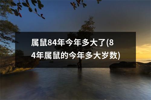 属鼠84年今年多大了(84年属鼠的今年多大岁数)