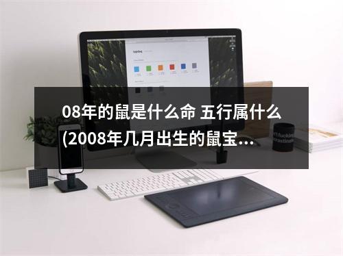 08年的鼠是什么命 五行属什么(2008年几月出生的鼠宝宝好)