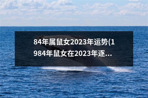 84年属鼠女2023年运势(1984年鼠女在2023年逐月运势)