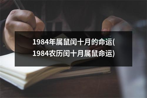 1984年属鼠闰十月的命运(1984农历闰十月属鼠命运)