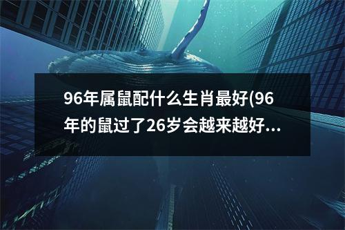 96年属鼠配什么生肖好(96年的鼠过了26岁会越来越好)