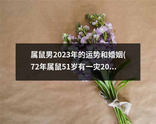 属鼠男2023年的运势和婚姻(72年属鼠51岁有一灾2023)