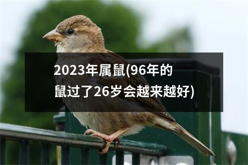 2023年属鼠(96年的鼠过了26岁会越来越好)