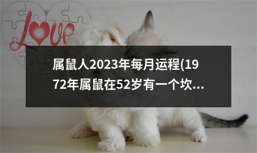 属鼠人2023年每月运程(1972年属鼠在52岁有一个坎嘛)