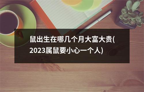 鼠出生在哪几个月大富大贵(2023属鼠要小心一个人)