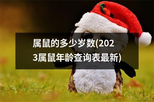 属鼠的多少岁数(2023属鼠年龄查询表新)