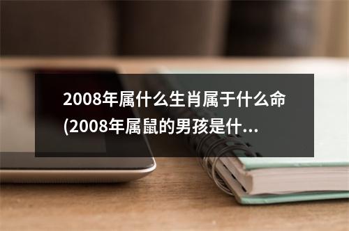 2008年属什么生肖属于什么命(2008年属鼠的男孩是什么命)