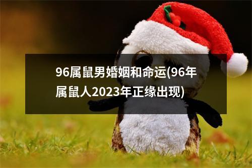 96属鼠男婚姻和命运(96年属鼠人2023年正缘出现)