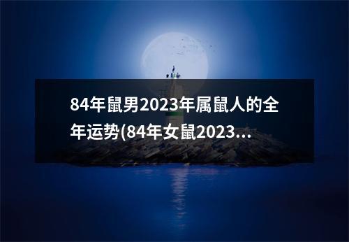 84年鼠男2023年属鼠人的全年运势(84年女鼠2023年属鼠人的全年运势)