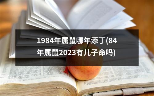 1984年属鼠哪年添丁(84年属鼠2023有儿子命吗)