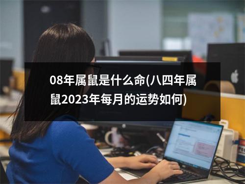 08年属鼠是什么命(八四年属鼠2023年每月的运势如何)