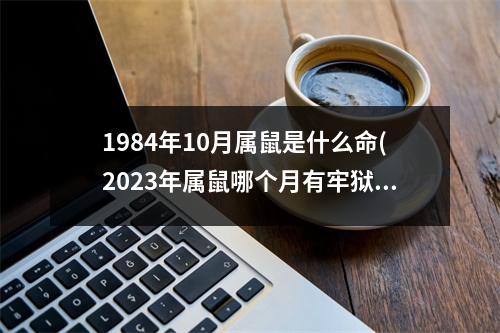 1984年10月属鼠是什么命(2023年属鼠哪个月有牢狱之灾)