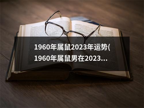 1960年属鼠2023年运势(1960年属鼠男在2023年怎么样)