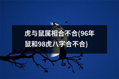 虎与鼠属相合不合(96年鼠和98虎八字合不合)