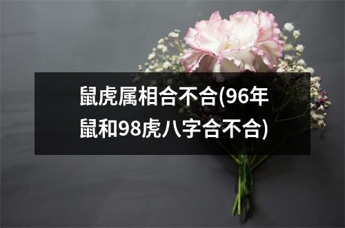 鼠虎属相合不合(96年鼠和98虎八字合不合)